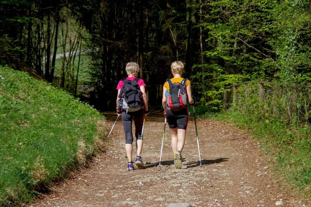Nordic Walking Hůlky Karbonové