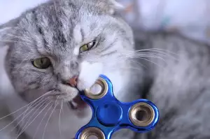 Spinner Kolo